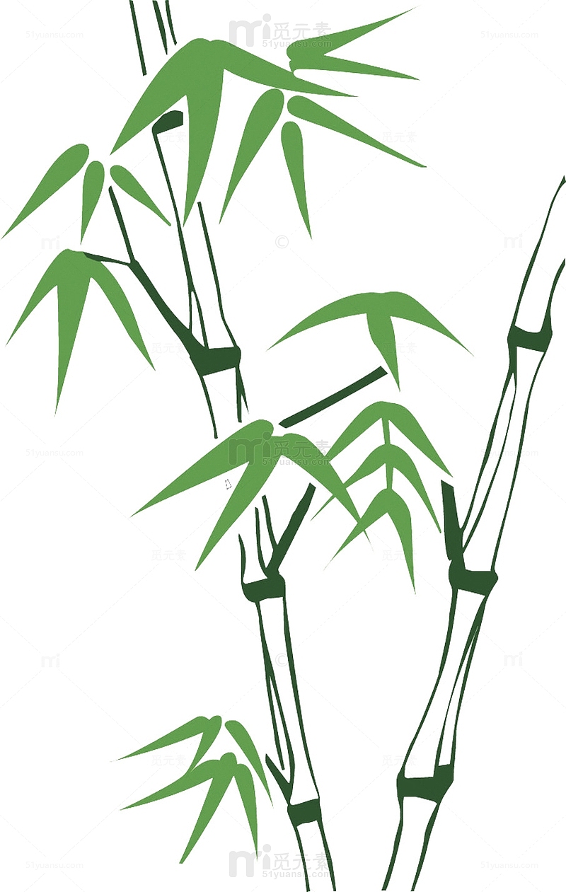 绿色手绘粽叶竹子