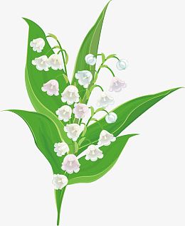 矢量创意设计植物喇叭花图