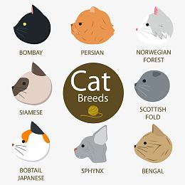 卡通猫侧脸头像矢量素材