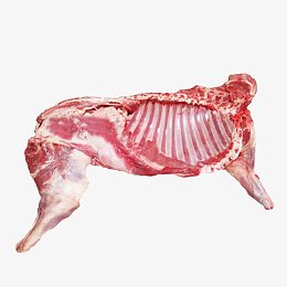 新鲜羊肉
