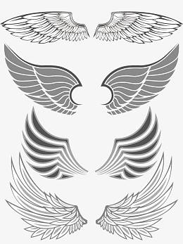 翅膀合集