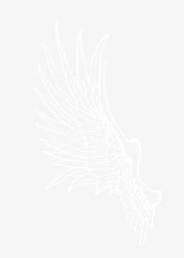 翅膀