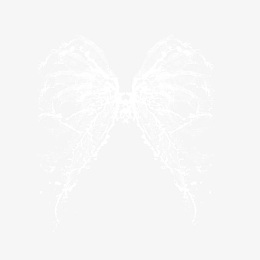水花翅膀素材