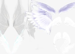 白色羽毛翅膀
