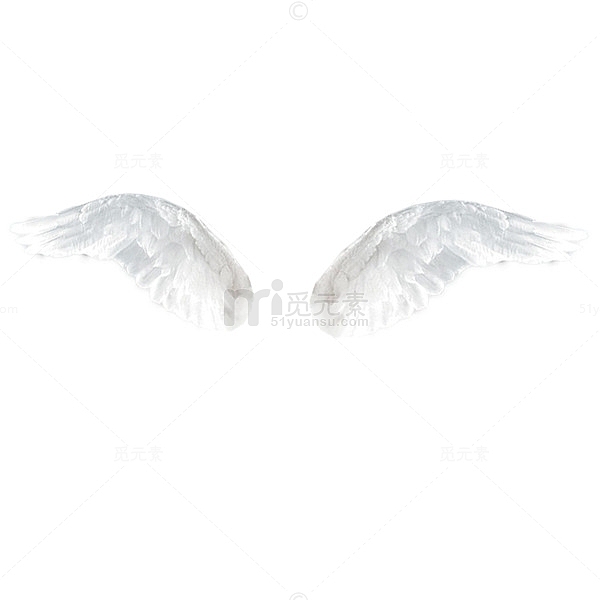 白色透明的翅膀