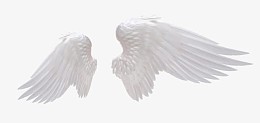 翅膀