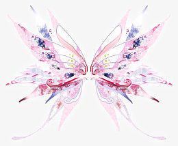 梦幻翅膀