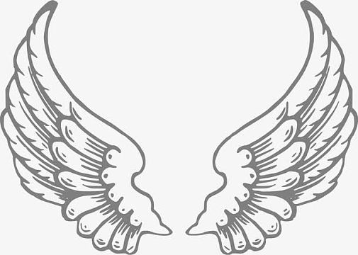 天使的翅膀