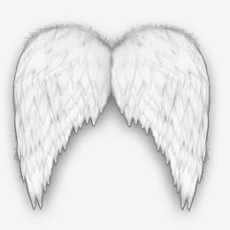 白色翅膀素材