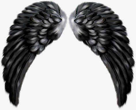 堕落天使的翅膀