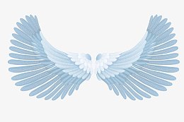 矢量打开的翅膀