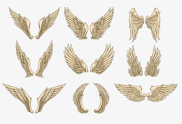 矢量翅膀元素素材免费下载_觅元素