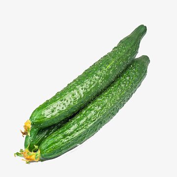 卡通手绘图(4167x4167)aipng黄色矢量土豆蔬菜手绘矢量插画(4167x4167