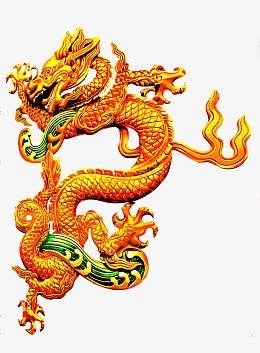 金色龙腾图