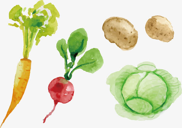 矢量手绘蔬菜
