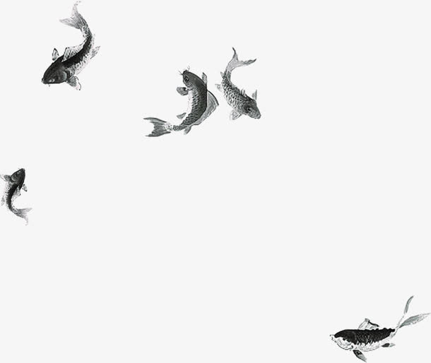 关键词 : 中国风,水墨,素材,鱼,鲤鱼,文化,传统,复古,古典,国画,海报