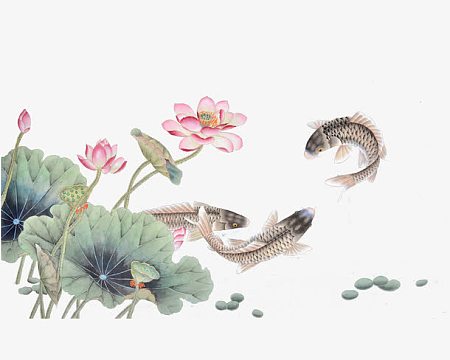 手绘人物伞雨滴鱼(2834x4251)psdpng水墨荷花素材(1656x1558)psdpng