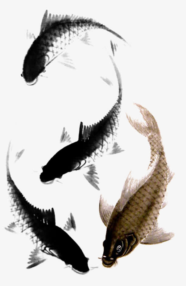 水墨画锦鲤