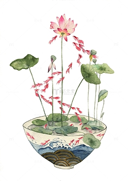 荷塘鲤鱼