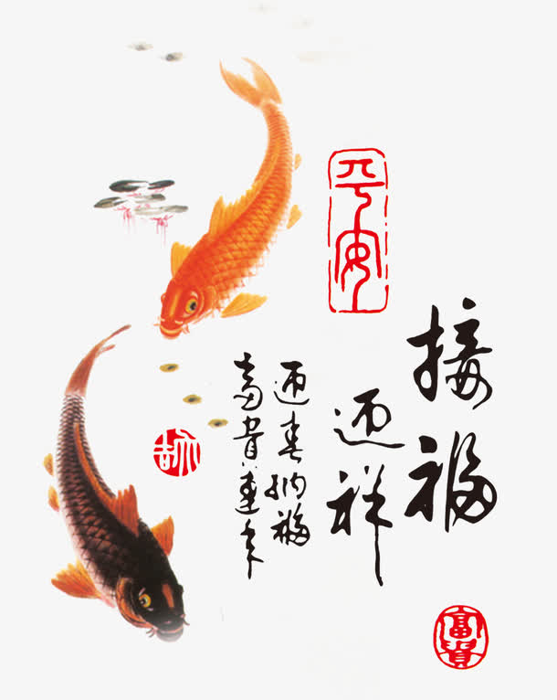两条鲤鱼