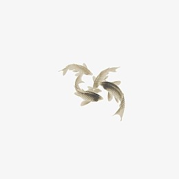 活泼的鲤鱼
