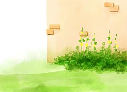 花园墙角草地黄花