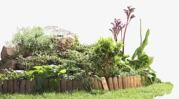 公园花园绿色植物