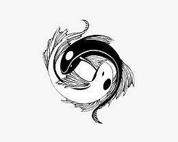 太极图鲤鱼