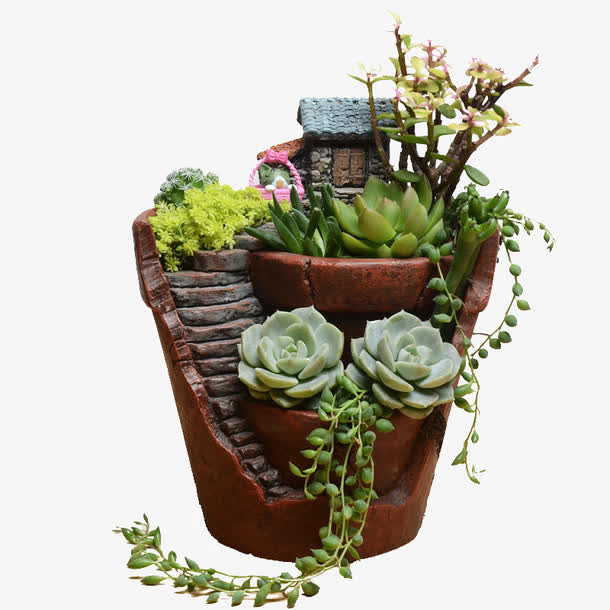 多肉植物组合室内盆栽素材免费下载_觅元素