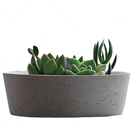 多肉绿植小盆栽花盆