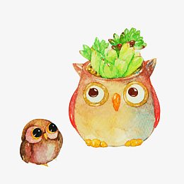 猫头鹰造型盆栽素材图片
