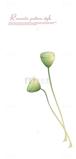 唯美淡雅荷花装饰
