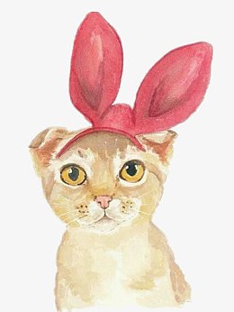 戴红色兔耳朵的猫咪
