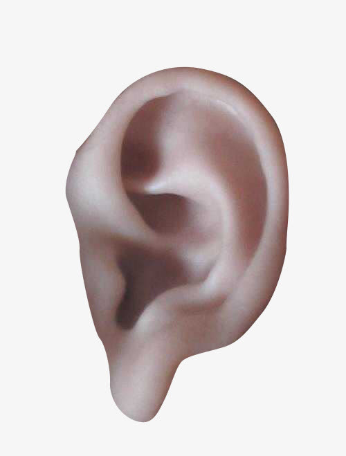 一只耳朵免抠素材免费下载_觅元素51yuansu.com