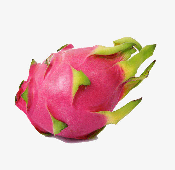 火龙果图片素材免费下载_觅元素