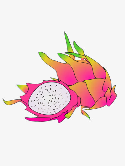 卡通手绘火龙果