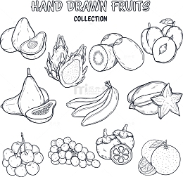 矢量手绘素描水果