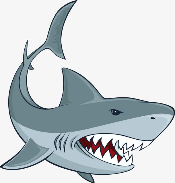 矢量凶狠的鲨鱼