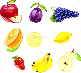 矢量手绘水彩水果
