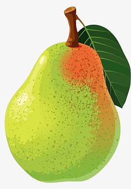 手绘香梨