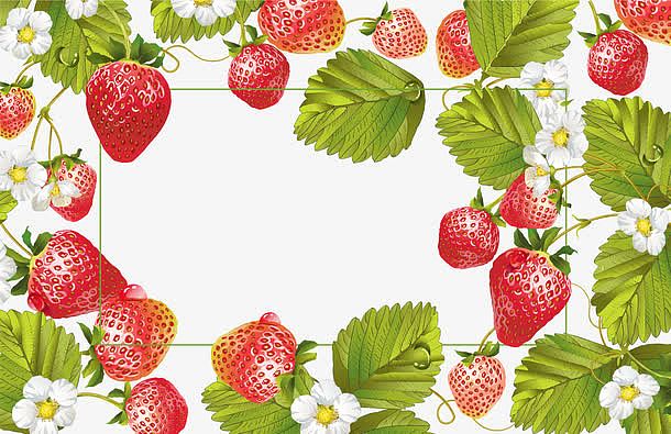 小清新草莓藤广告牌