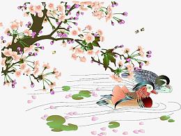 梨花枝头下的鸳鸯