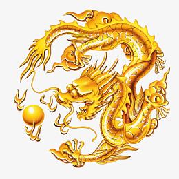五爪金龙