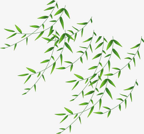 绿色艺术树叶风光手绘
