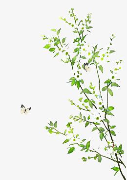 古风树叶素材_古风树叶png图片下载_觅元素