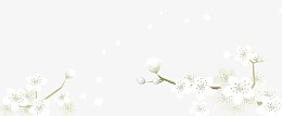 白色小花