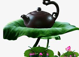 荷叶上的茶壶