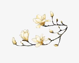 一枝白花