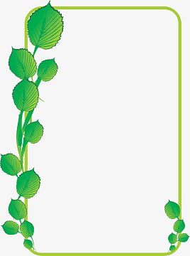 叶子边框png绿色黑板卡通插画aipng树叶花纹边框png绿色方形边框png