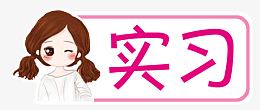 新手实习标识 车贴